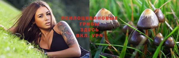 a pvp Абдулино